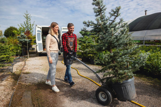 How Our Tree Care Process Works  in  Columbus Junction, IA